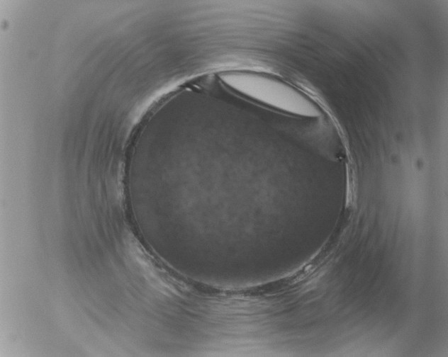 X0000053060387200508011919