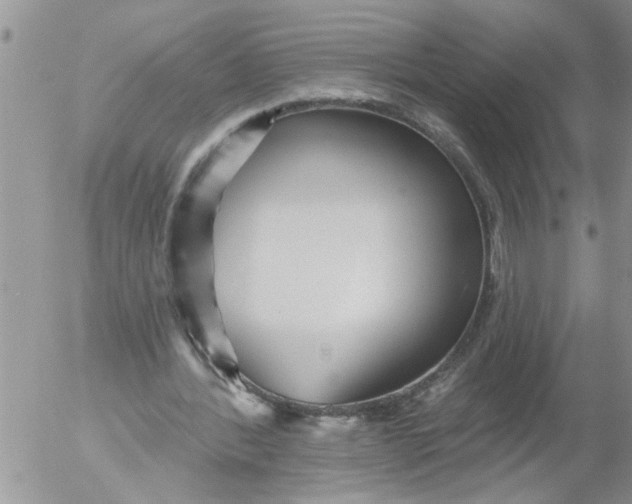 X0000053060388200508011919