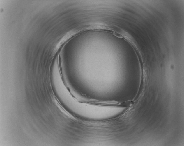 X0000053060389200508011919