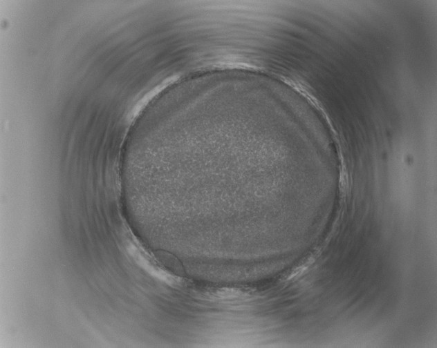 X0000053060390200508011919