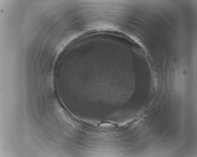 X0000053060391200508011919