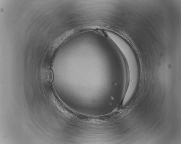 X0000053060393200508011919