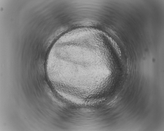 X0000053060394200508011919