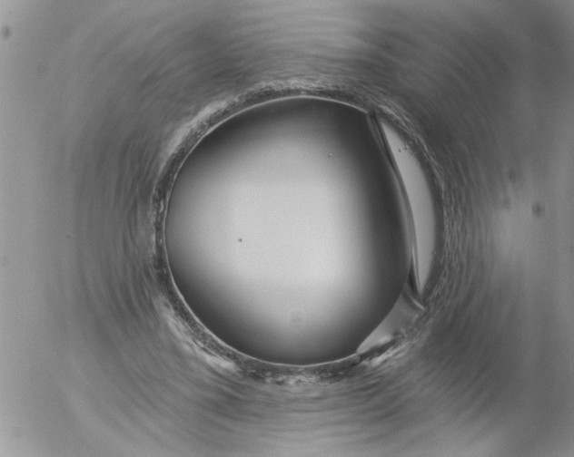 X0000053060395200508011919