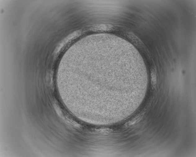 X0000053060396200508011919