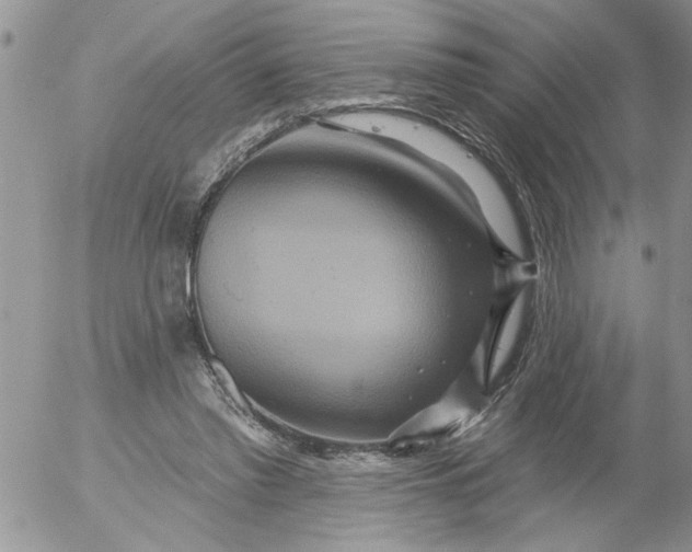 X0000053060397200508011919