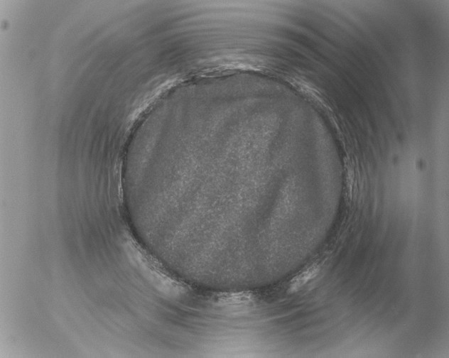 X0000053060398200508011919