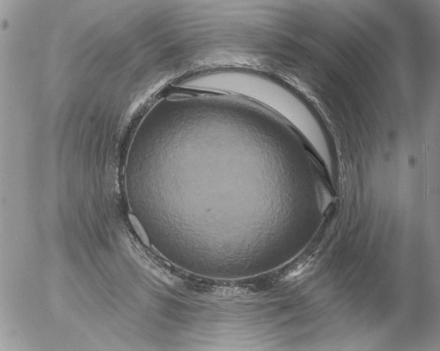 X0000053060399200508011919