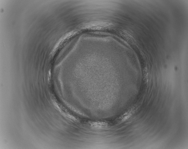 X0000053060400200508011919