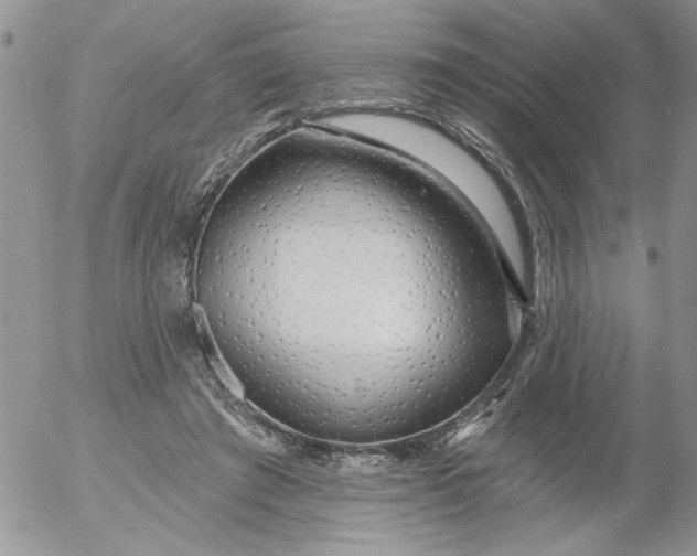 X0000053060401200508011919