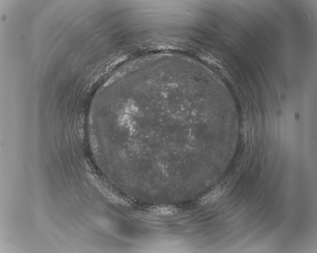 X0000053060402200508011919