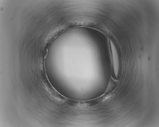 X0000053060403200508011919