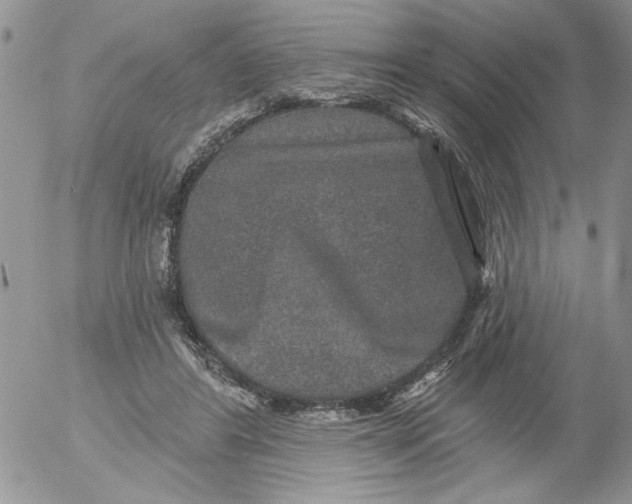 X0000053060404200508011919