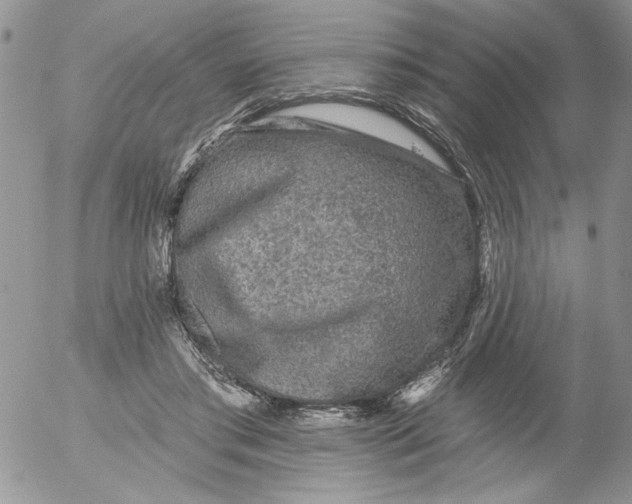 X0000053060405200508011919