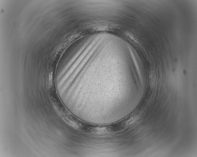 X0000053060406200508011919