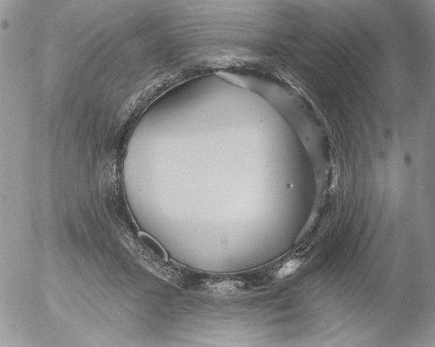 X0000053060407200508011919