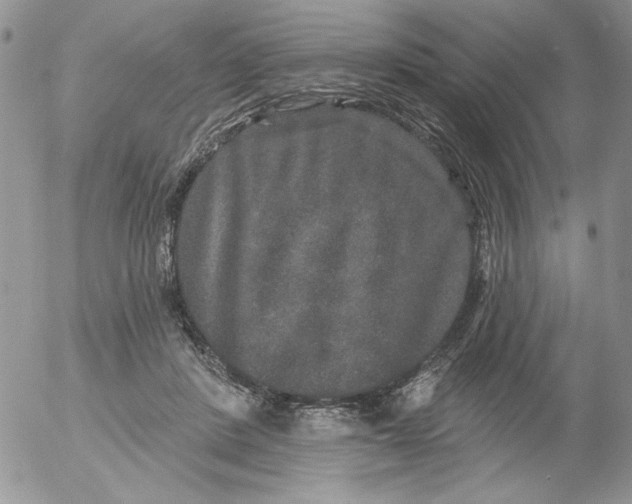 X0000053060408200508011919