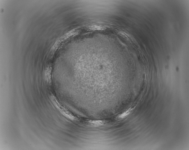 X0000053060409200508011919