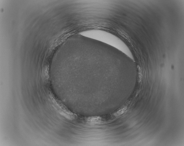 X0000053060410200508011919