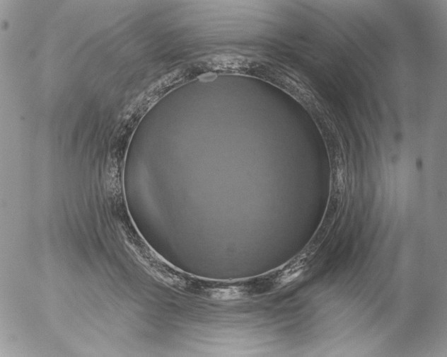 X0000053060411200508011919