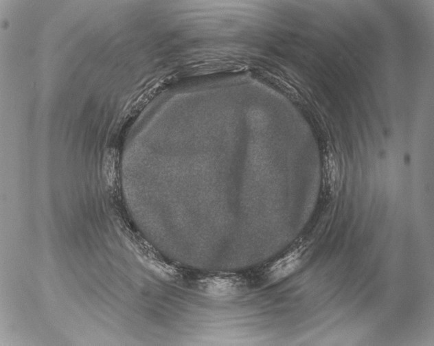 X0000053060412200508011919