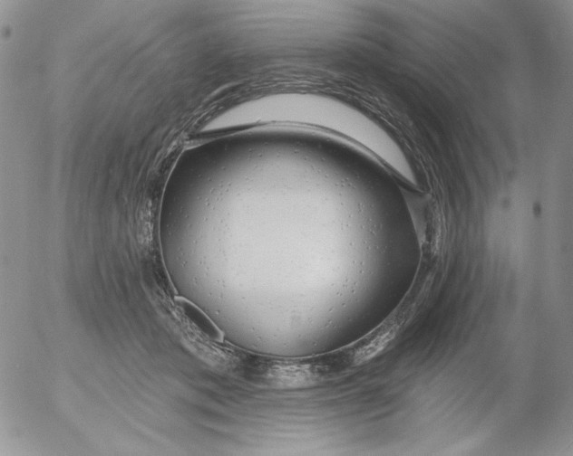 X0000053060413200508011919