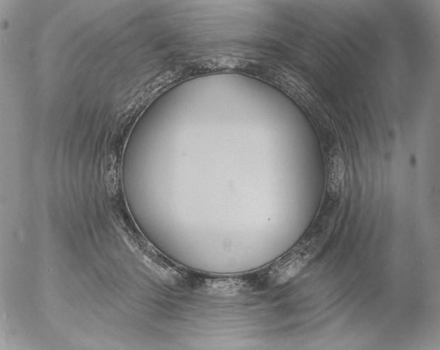 X0000053060414200508011919