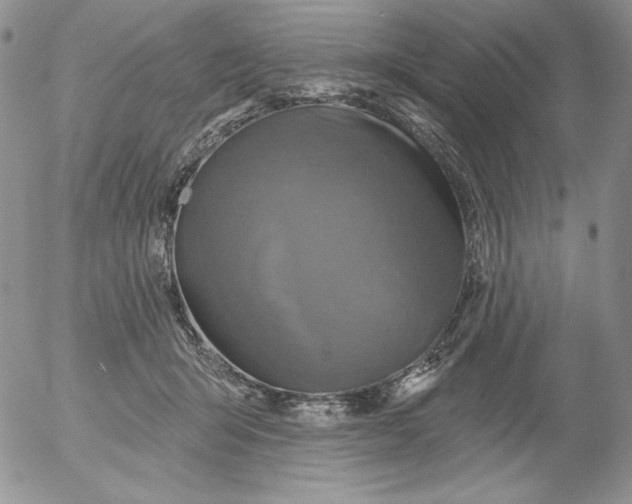 X0000053060415200508011919