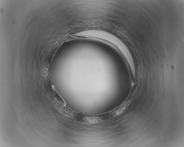 X0000053060417200508011919