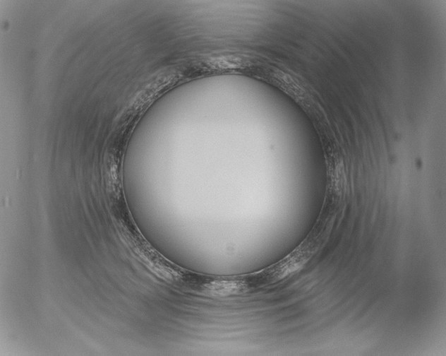 X0000053060418200508011919