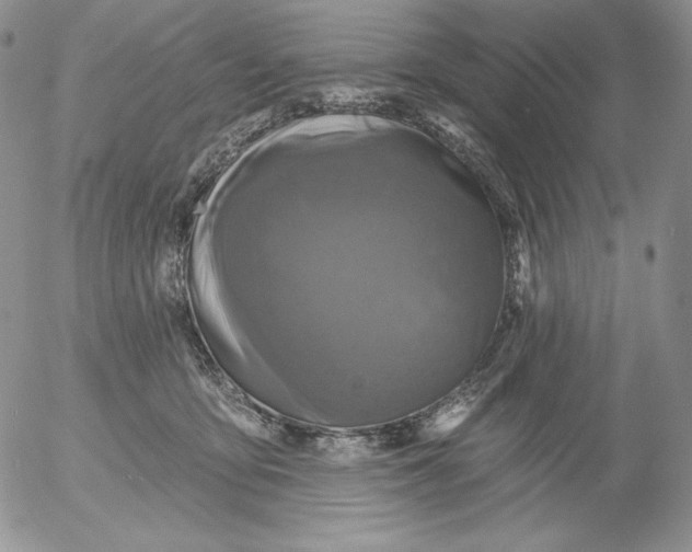 X0000053060419200508011919