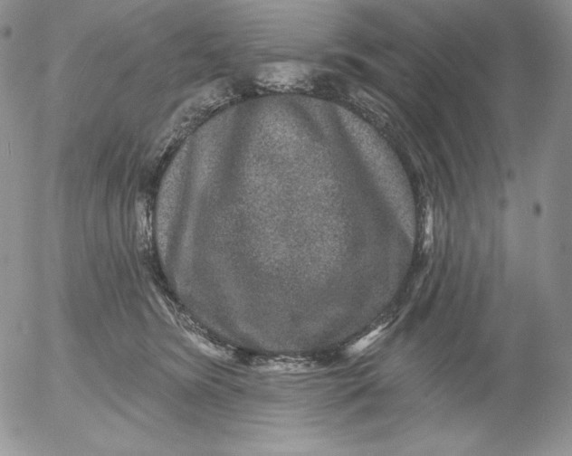 X0000053060420200508011919