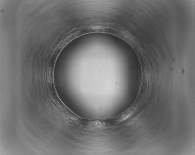 X0000053060421200508011919