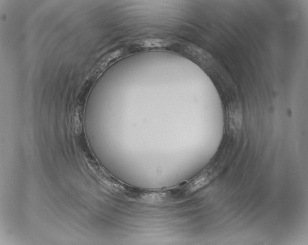 X0000053060422200508011919