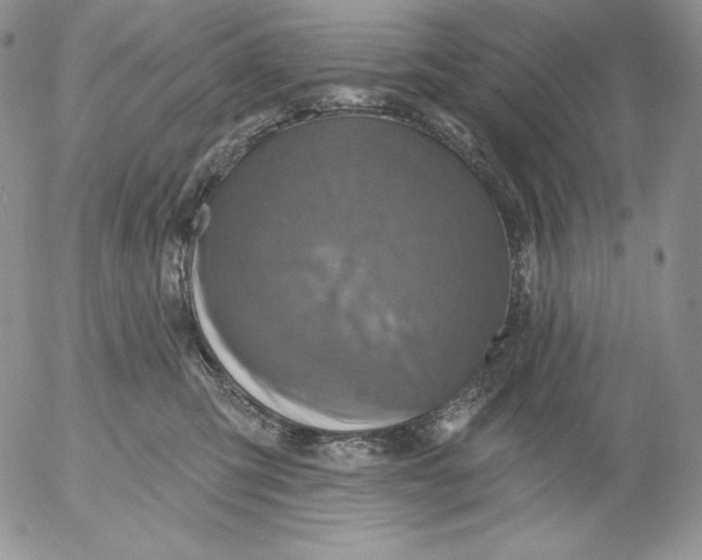 X0000053060423200508011919