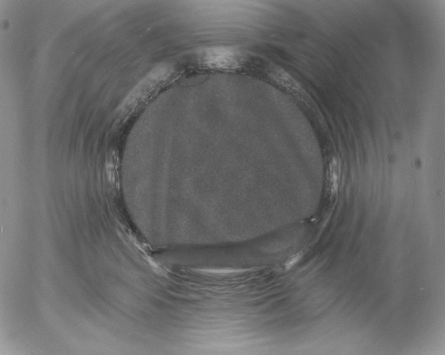 X0000053060424200508011919