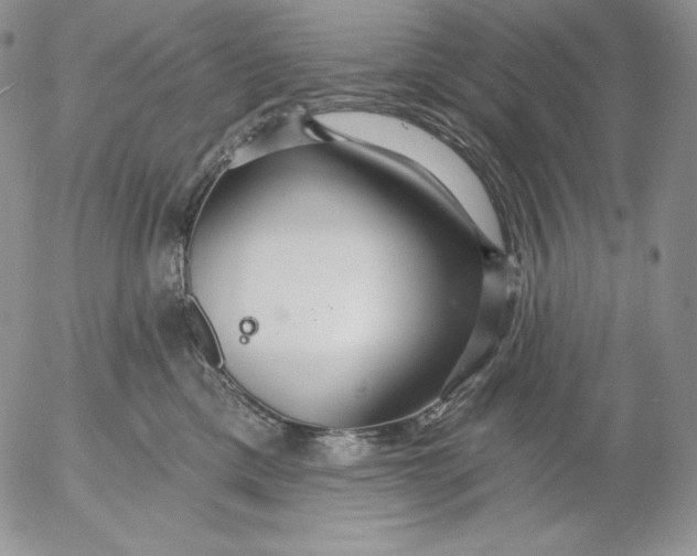 X0000053060425200508011919