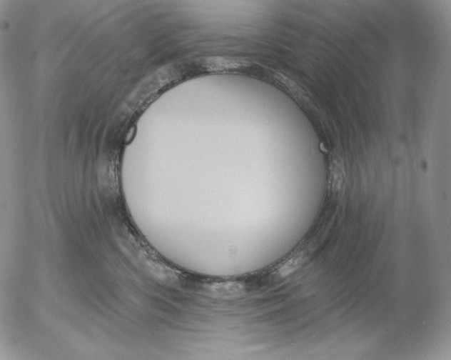 X0000053060426200508011919