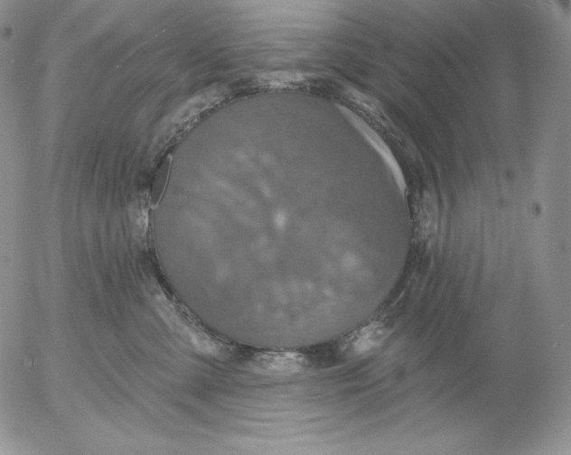 X0000053060427200508011919