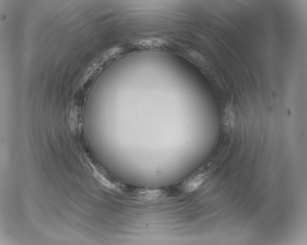 X0000053060428200508011919