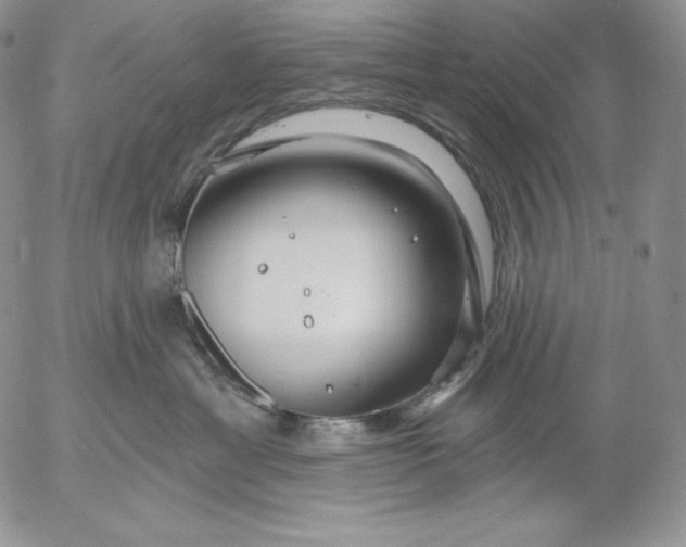 X0000053060429200508011919