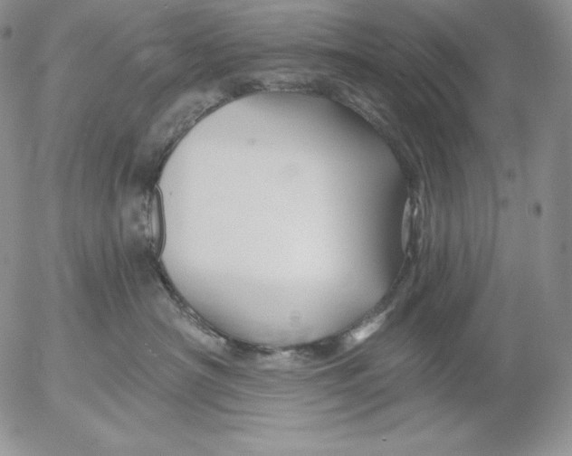 X0000053060430200508011919