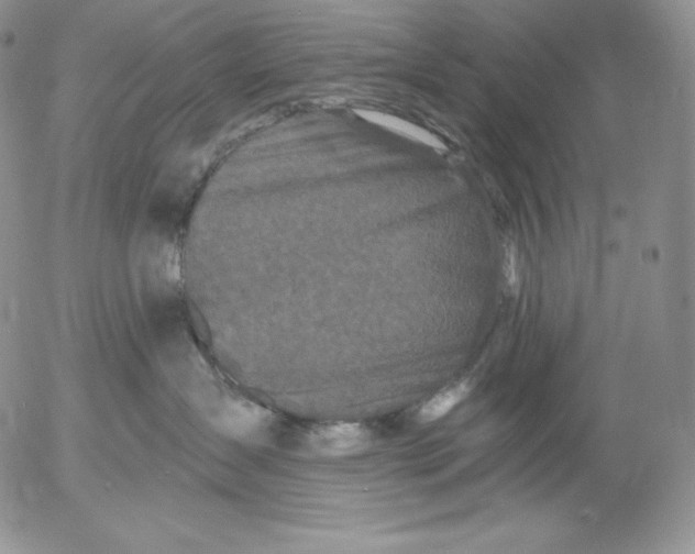 X0000053060431200508011919