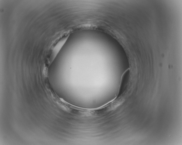 X0000053060432200508011919