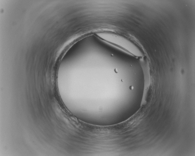 X0000053060435200508011918