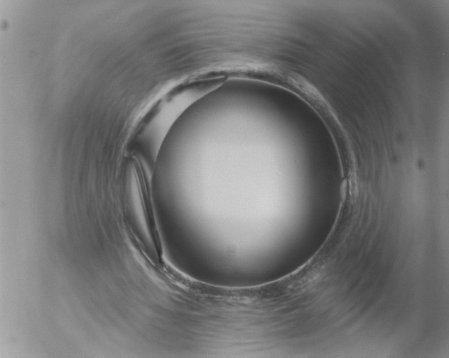 X0000053060436200508011918