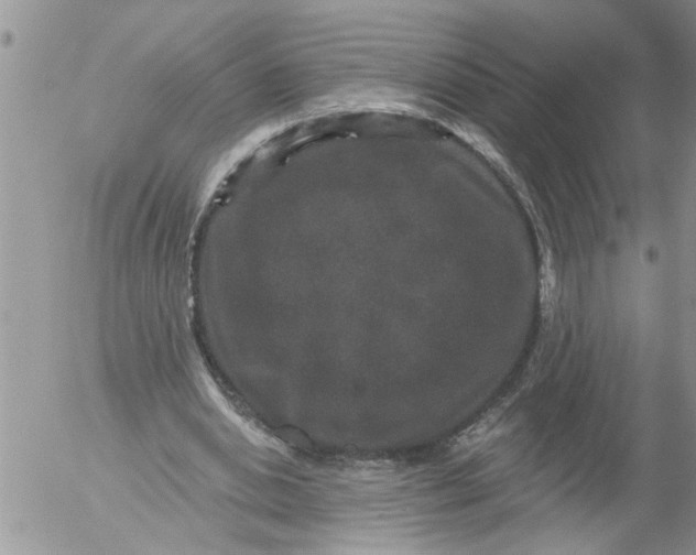 X0000053060438200508011918