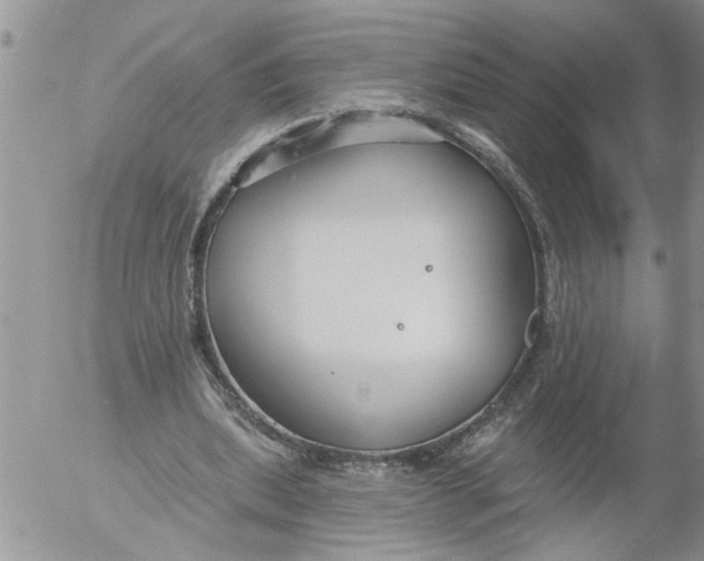 X0000053060439200508011918