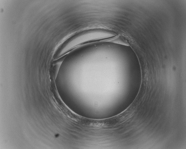 X0000053060440200508011918