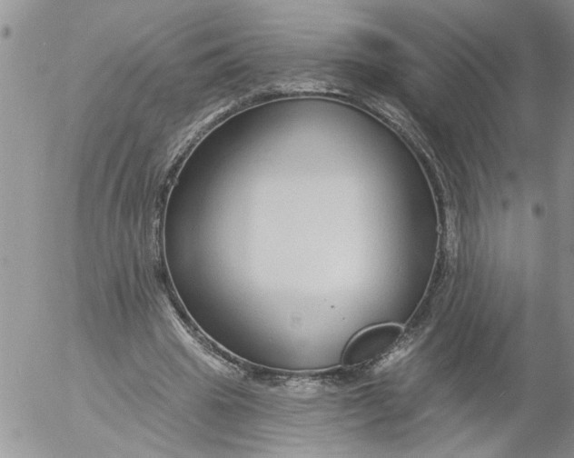 X0000053060441200508011918